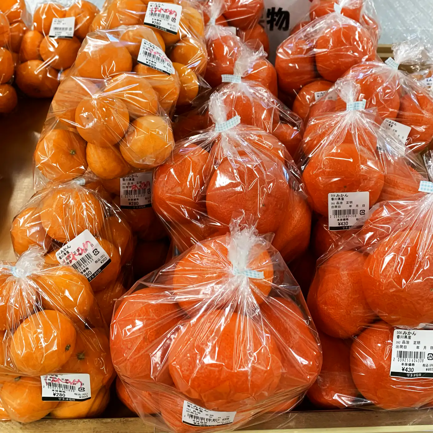 農園の直売所に並ぶ、袋づめしたみかん