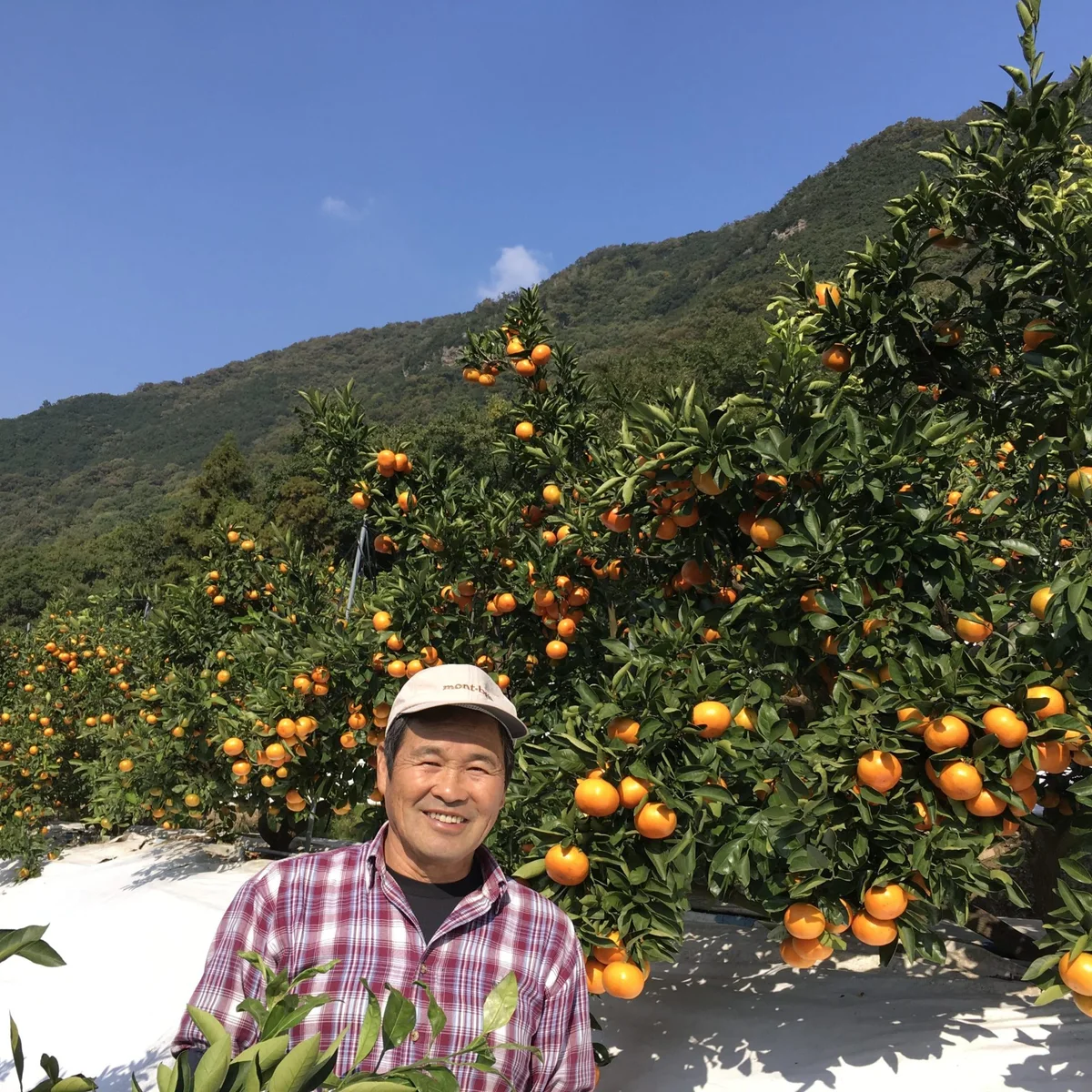 畑に立つ園主